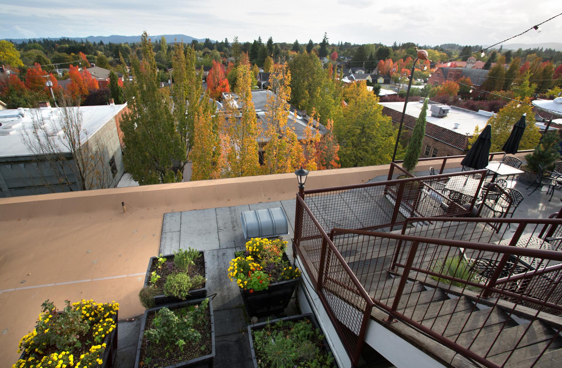 Mcmenamins Hotel Oregon Макминнвилл Экстерьер фото